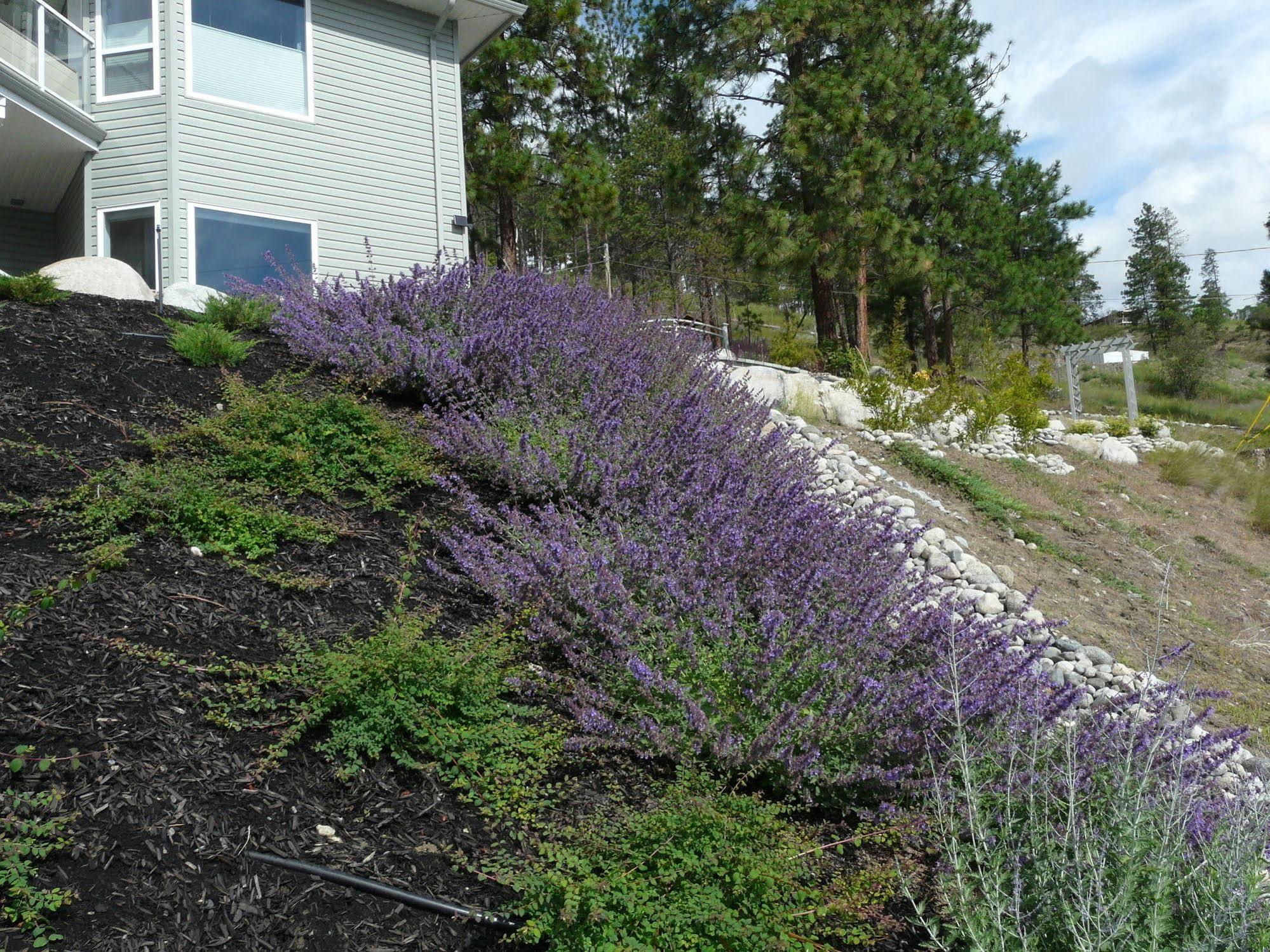 Heartstone B&B Peachland Exterior foto