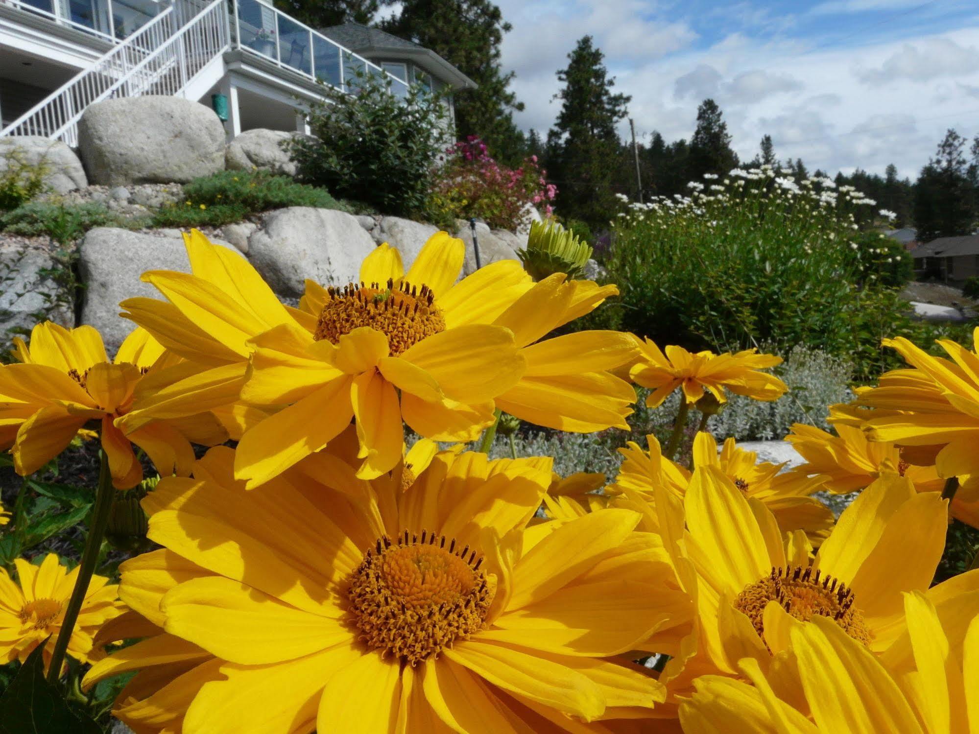 Heartstone B&B Peachland Exterior foto